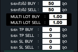 multilot buy sell